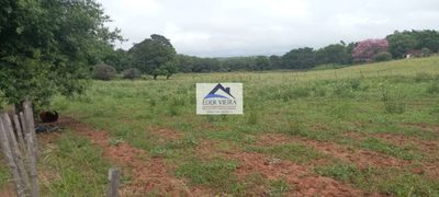 Chácara, 4 quartos, 9 hectares - Foto 4