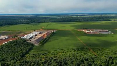 Terreno, 12 hectares - Foto 3