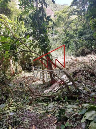 Terreno - Foto 1