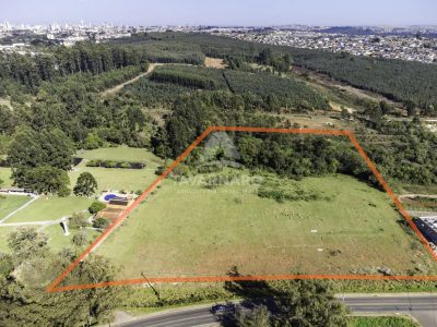 Terreno, 4 hectares - Foto 4