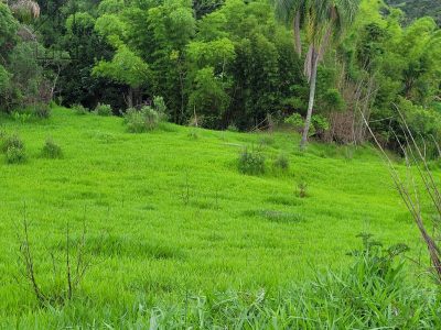 Terreno, 1 hectares - Foto 2