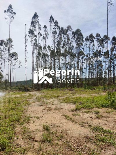 Chácara, 3 quartos - Foto 5