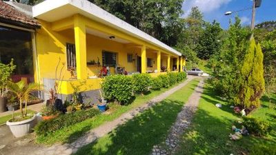Chácara, 7 quartos, 2 hectares - Foto 1