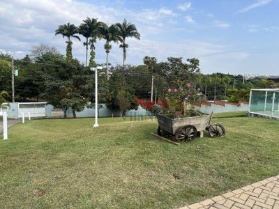 Chácara, 4 quartos, 3 hectares - Foto 3