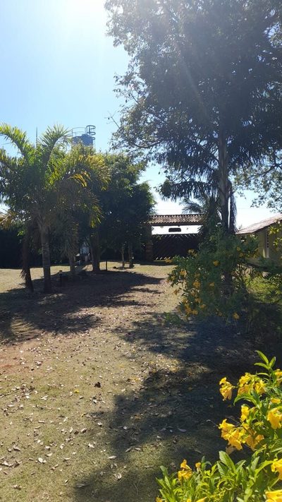 Sítio, 3 quartos, 10000 m² - Foto 5