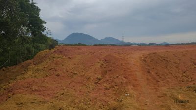 Terreno, 2000 m² - Foto 3