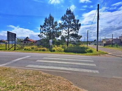 Terreno, 338 m² - Foto 5