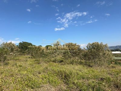 Fazenda, 3 hectares - Foto 4