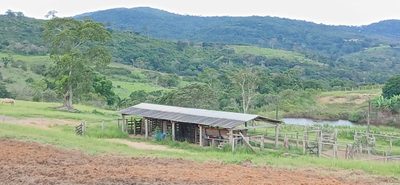 Fazenda, 6 quartos - Foto 5