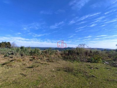 Terreno, 9292 m² - Foto 2