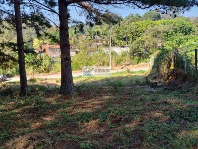 Terreno - Foto 4