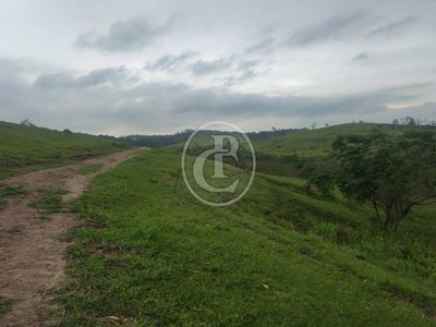 Terreno, 20 hectares - Foto 4