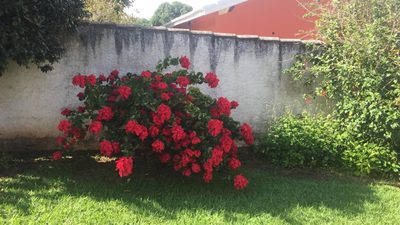 Casa, 3 quartos, 600 m² - Foto 2