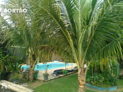 Casa, 5 quartos, 2475 m² - Foto 4