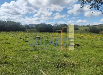 Fazenda, 292 hectares - Foto 2