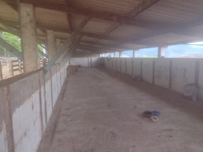 Fazenda, 450 m² - Foto 5