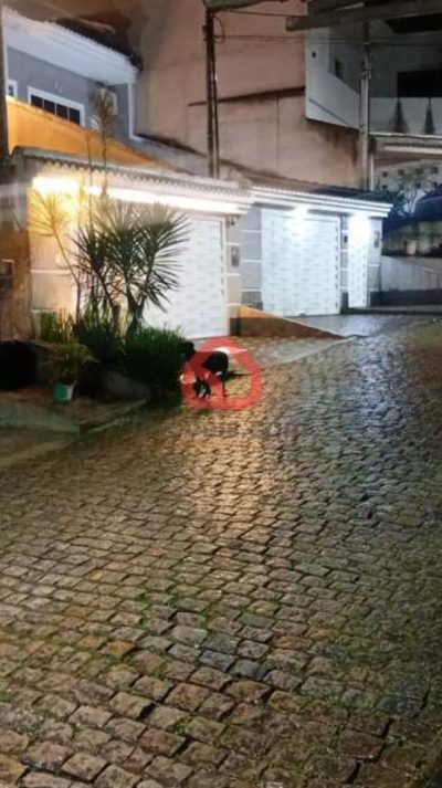 Terreno, 250 m² - Foto 3