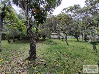 Terreno, 250 m² - Foto 5