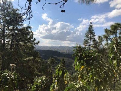 Terreno, 3837 m² - Foto 3
