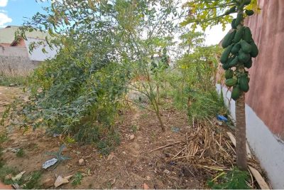 Loteamento e Condomínio, 250 m² - Foto 2