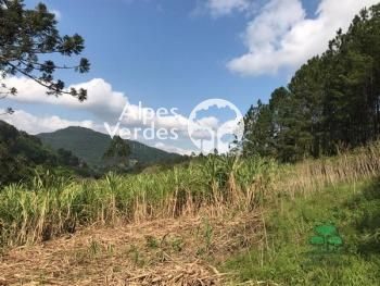 Terreno, 7000 m² - Foto 2