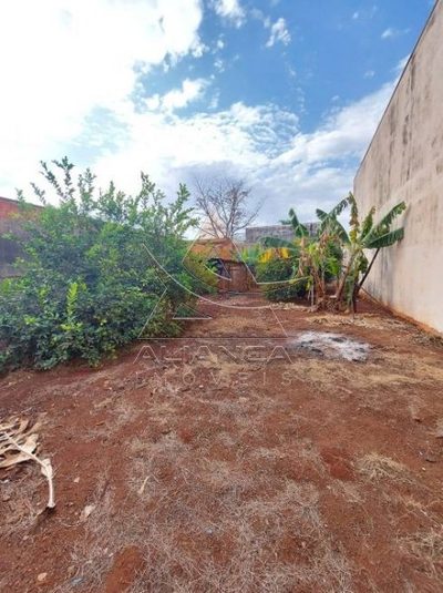 Terreno, 250 m² - Foto 1