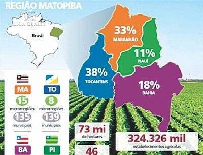 Prédio Inteiro - Foto 4