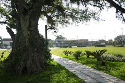 Terreno - Foto 5