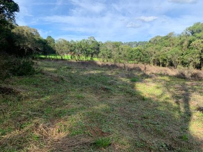 Terreno, 7000 m² - Foto 3