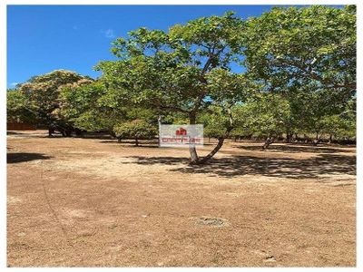 Casa, 3 quartos, 4 m² - Foto 5