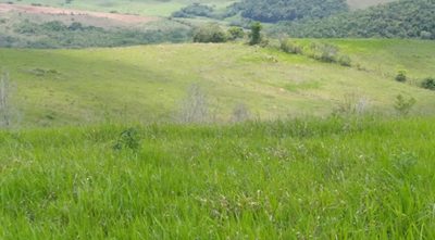Fazenda, 175 hectares - Foto 1