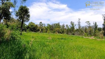 Chácara, 2 hectares - Foto 1