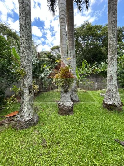 Casa, 3 quartos, 1062 m² - Foto 5