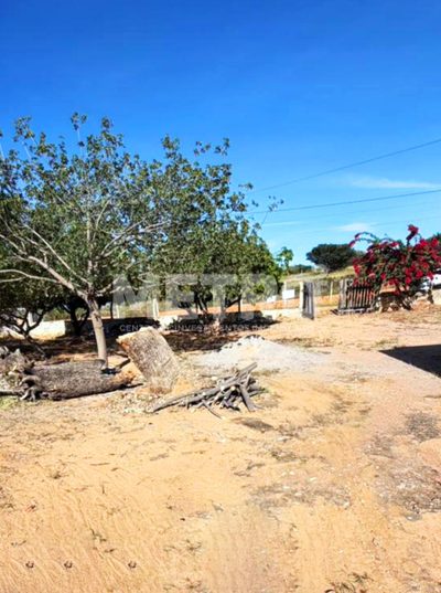 Sítio, 3 quartos, 4000 m² - Foto 1