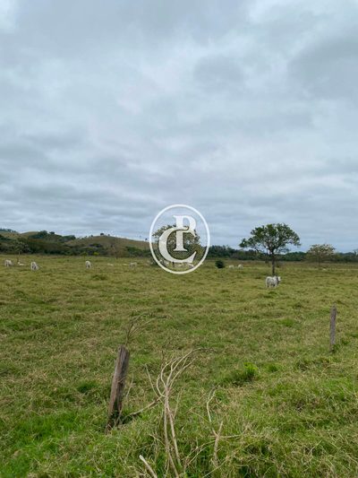 Fazenda, 102 m² - Foto 2