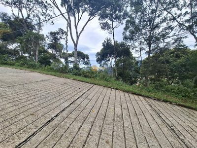 Terreno, 1500 m² - Foto 3