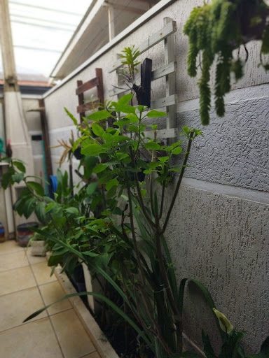Casa, 2 quartos, 139 m² - Foto 3