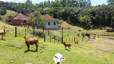 Sítio, 3 quartos, 145 m² - Foto 4