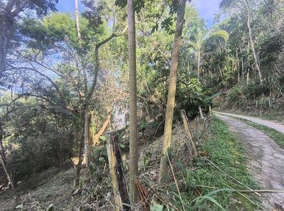 Terreno - Foto 5