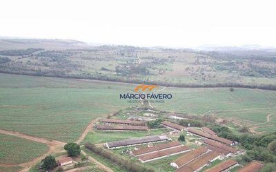 Fazenda, 390 hectares - Foto 1