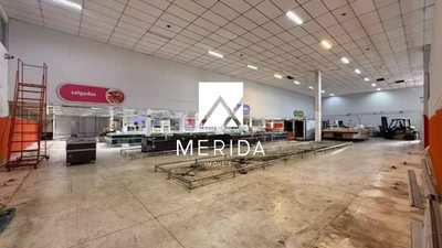 Depósito-Galpão, 4842 m² - Foto 5