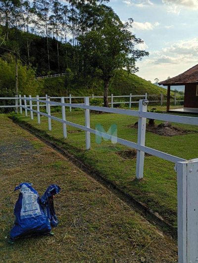 Sítio, 3 quartos, 73 hectares - Foto 4