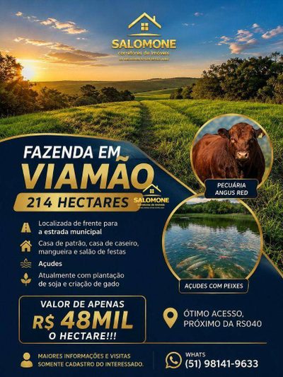 Fazenda, 214 hectares - Foto 2