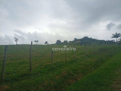 Terreno, 9671 m² - Foto 1