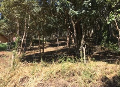 Terreno, 1500 m² - Foto 1