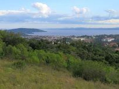 Terreno, 10000 m² - Foto 1