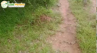 Terreno, 421 hectares - Foto 1