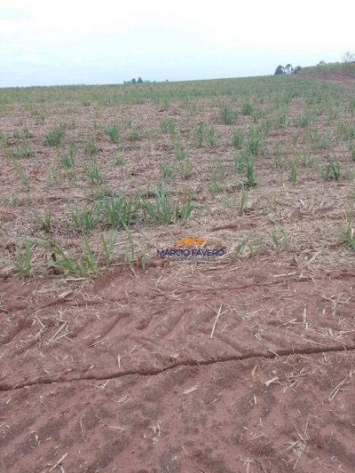 Fazenda, 172 hectares - Foto 1