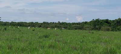 Fazenda, 588 m² - Foto 4
