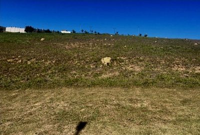 Terreno, 490 m² - Foto 2